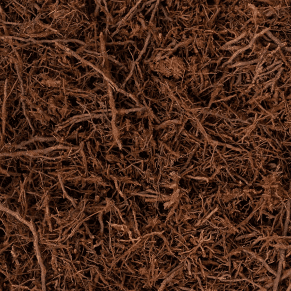 Tree-Fern (Boomvarenvezels) - 8,5 l