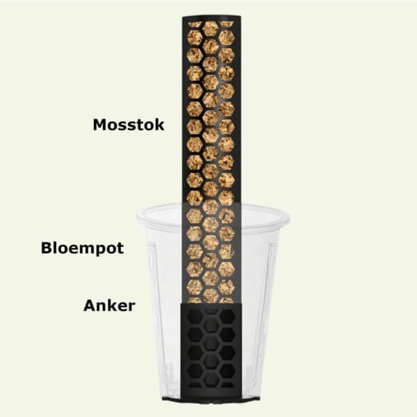 Verankeringsset / anker, bloempot en mosstok