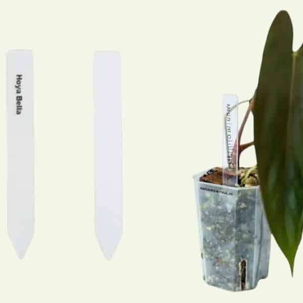 Acryllabels voor plantenidentificatie