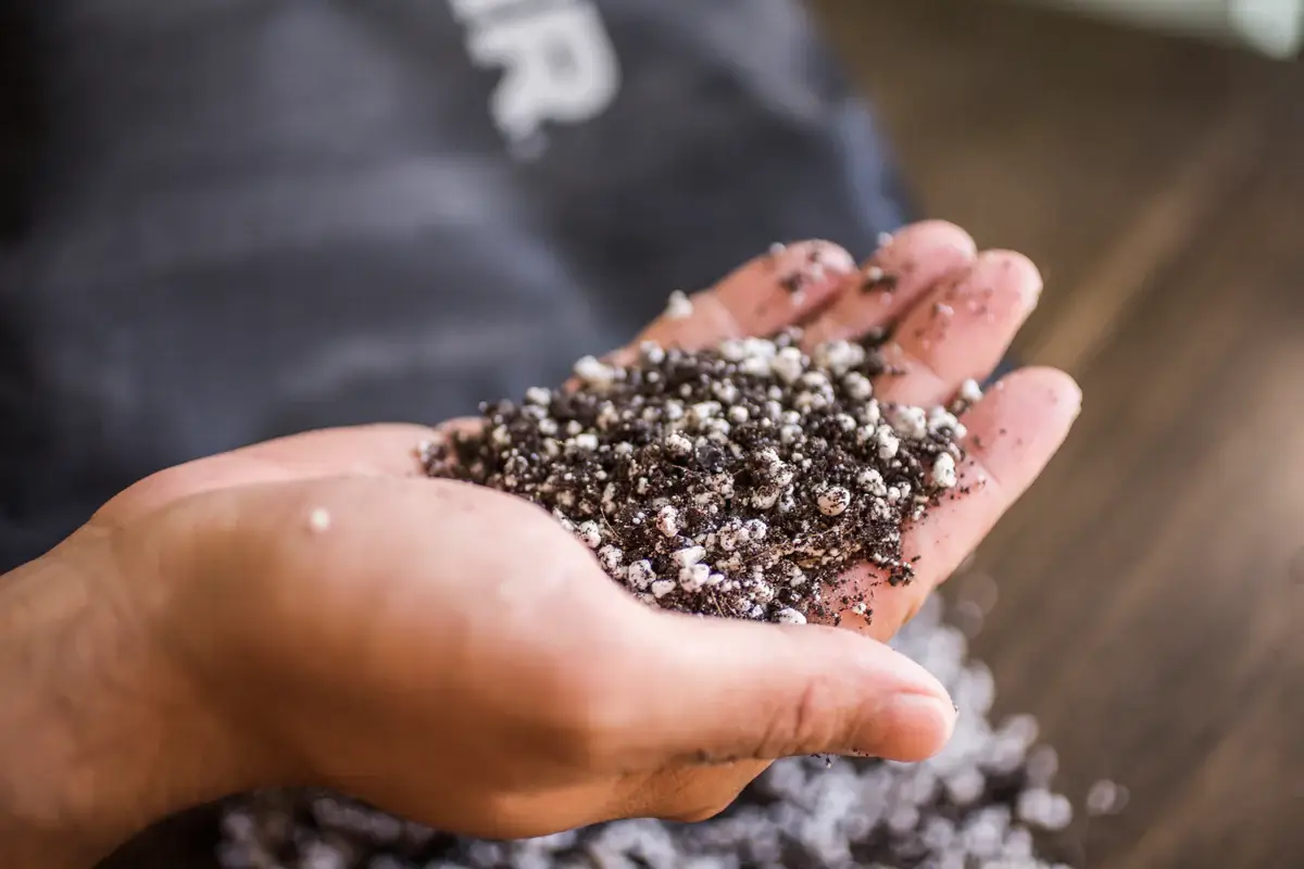 Fijne potgrond voor zaaien en stekken – 8,5 l - Afbeelding 2