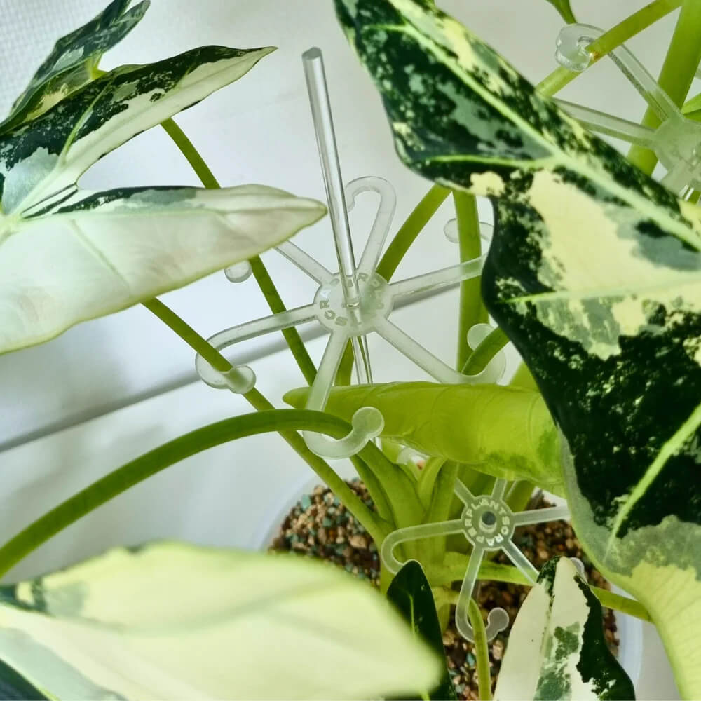 Stok voor bladhouder - Afbeelding 2