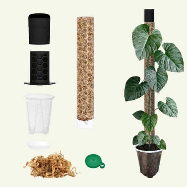 Volledige Verankeringsset